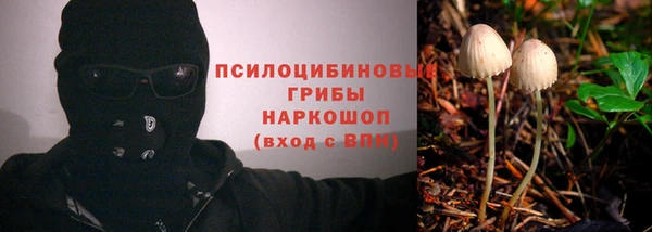 кристаллы Няндома