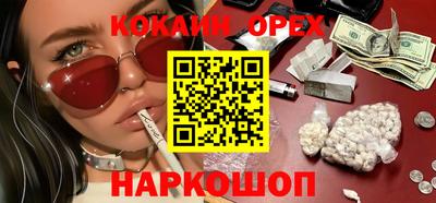крисы Коммунар